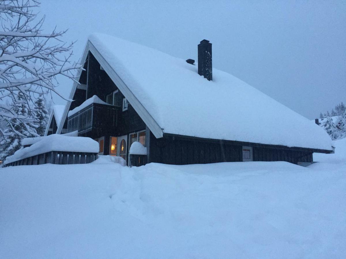 Trysil Alpin 16A Top Location Екстериор снимка